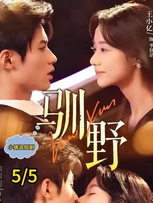 暗河档案 悬疑刑侦剧手机在线观看